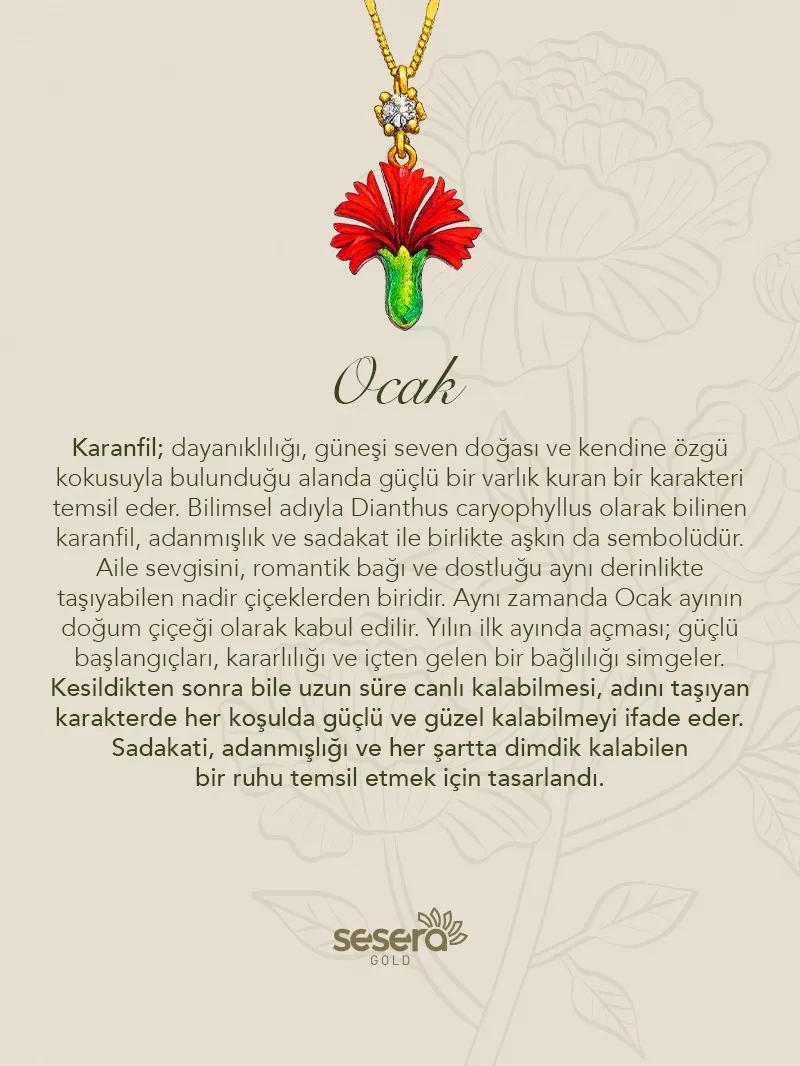 Ocak Doğum Çiçeği Kolye